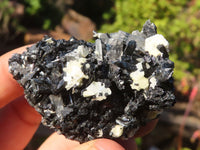 Natural Schorl Black Tourmaline With Vermiculite Specimens x 12 From Erongo, Namibia - Toprock Gemstones and Minerals 