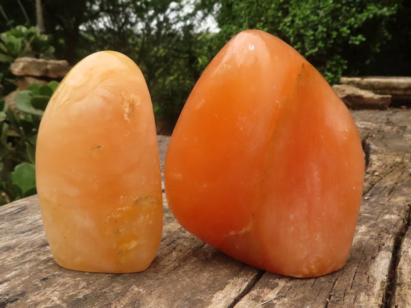 Polished Orange Twist Calcite Standing Free Forms  x 2 From Madagascar - TopRock