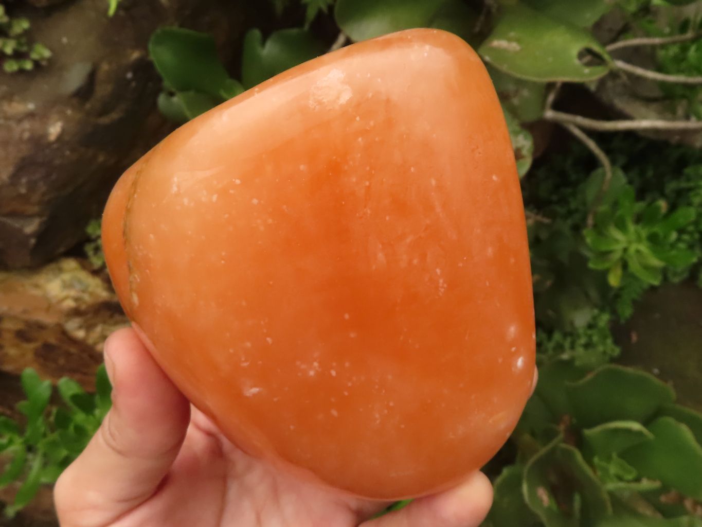 Polished Orange Twist Calcite Standing Free Forms  x 2 From Madagascar - TopRock