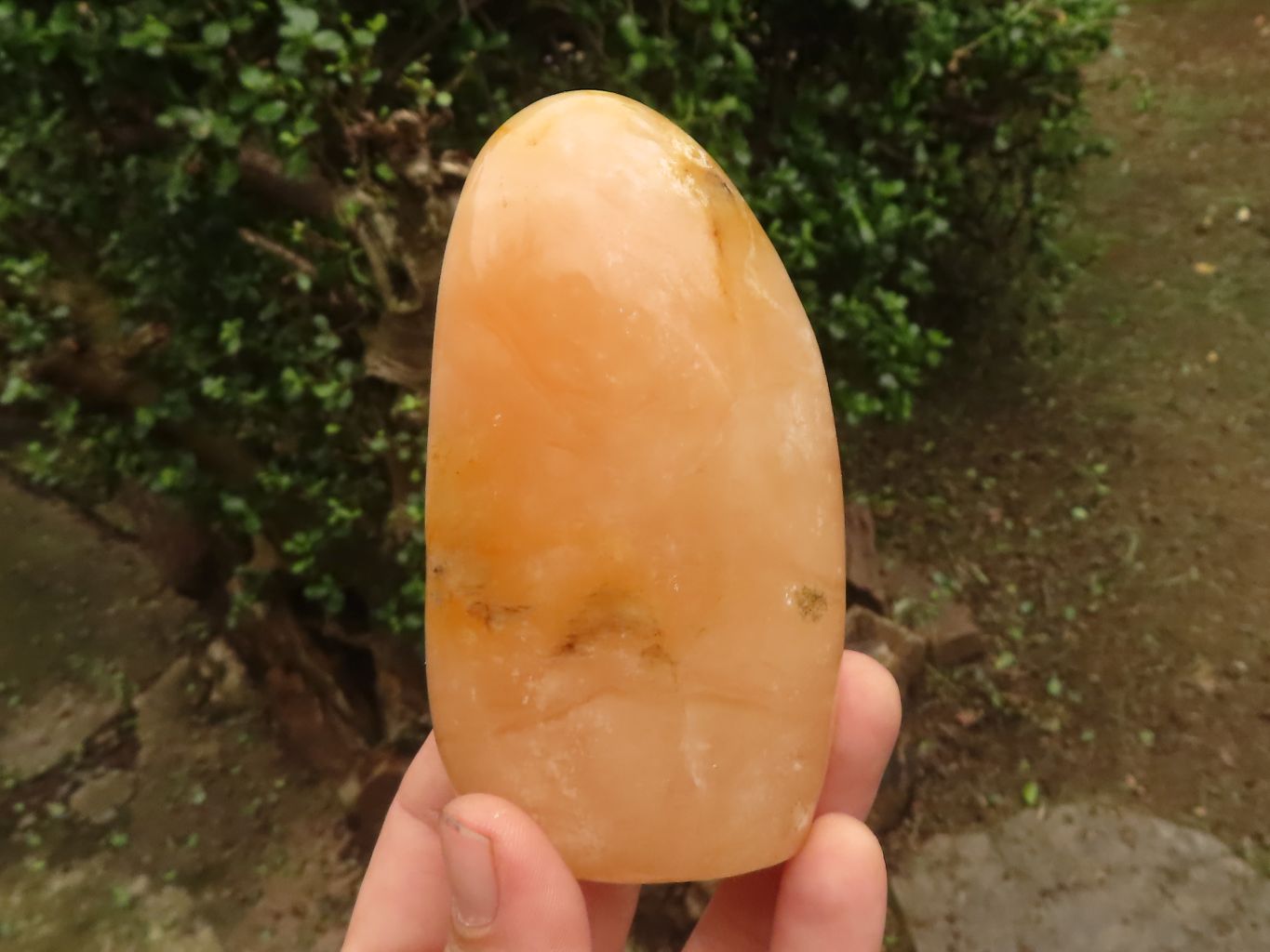 Polished Orange Twist Calcite Standing Free Forms  x 2 From Madagascar - TopRock