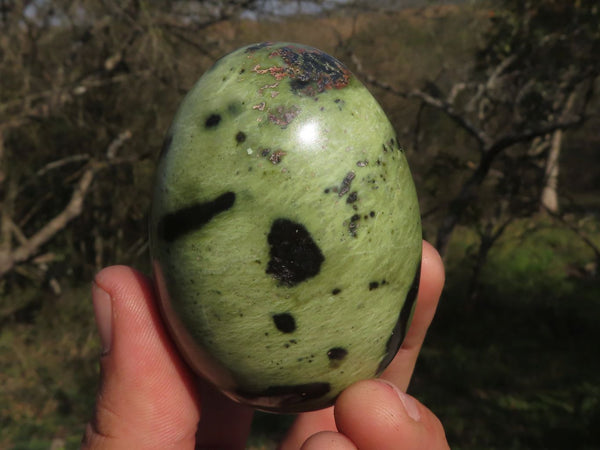 Polished Green Leopard Stone / Serpentine Eggs  x 5 From Nyanga & Shamva, Zimbabwe - TopRock