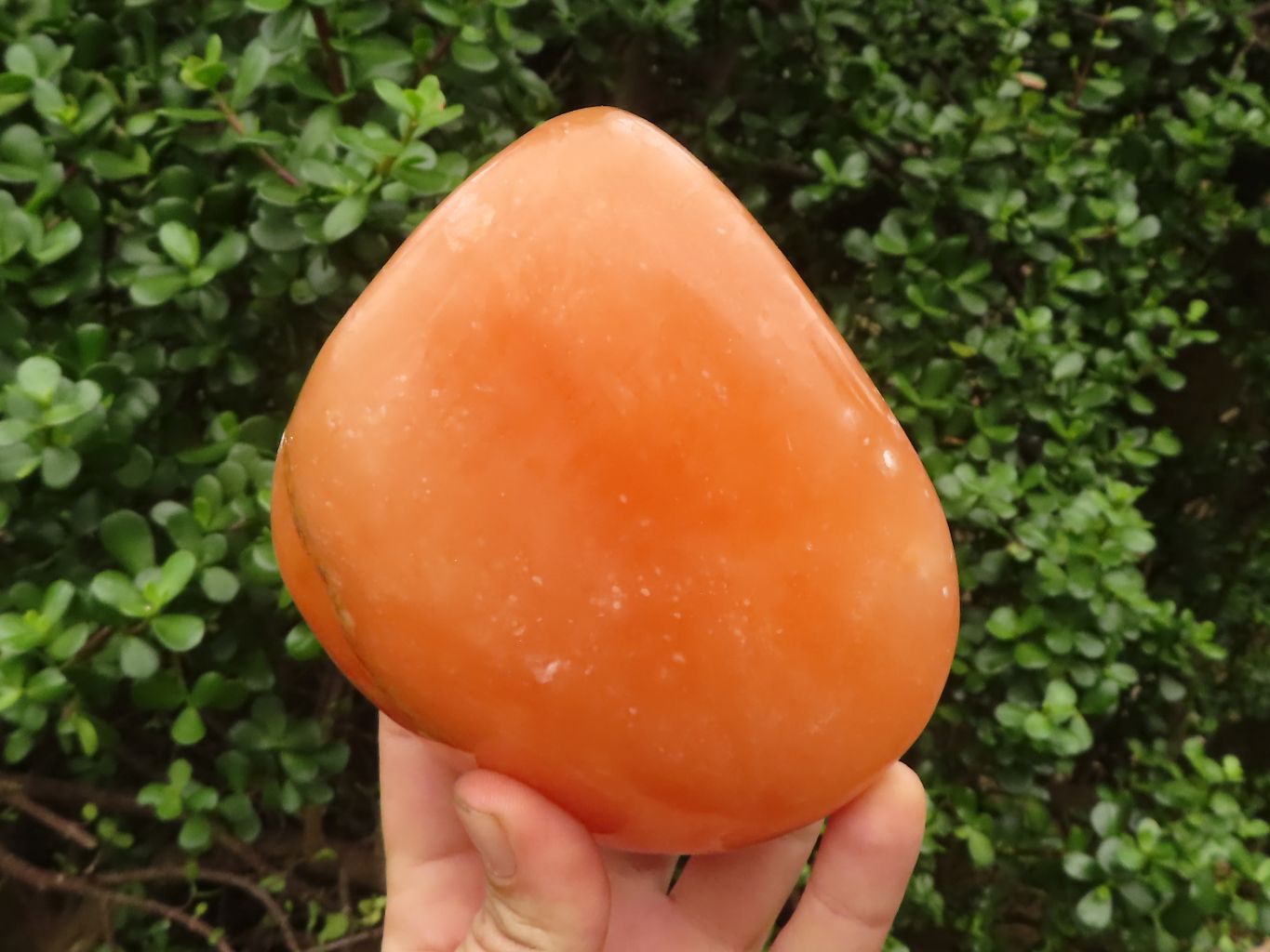 Polished Orange Twist Calcite Standing Free Forms  x 2 From Madagascar - TopRock