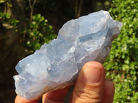 Natural Blue Celestite Crystal Specimens  x 3 From Sakoany, Madagascar - Toprock Gemstones and Minerals 