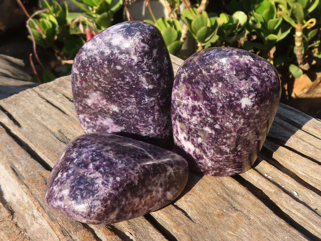 Polished Lepidolite Standing Free Forms (2) & Free Form (1) x 3 From Zimbabwe - Toprock Gemstones and Minerals 