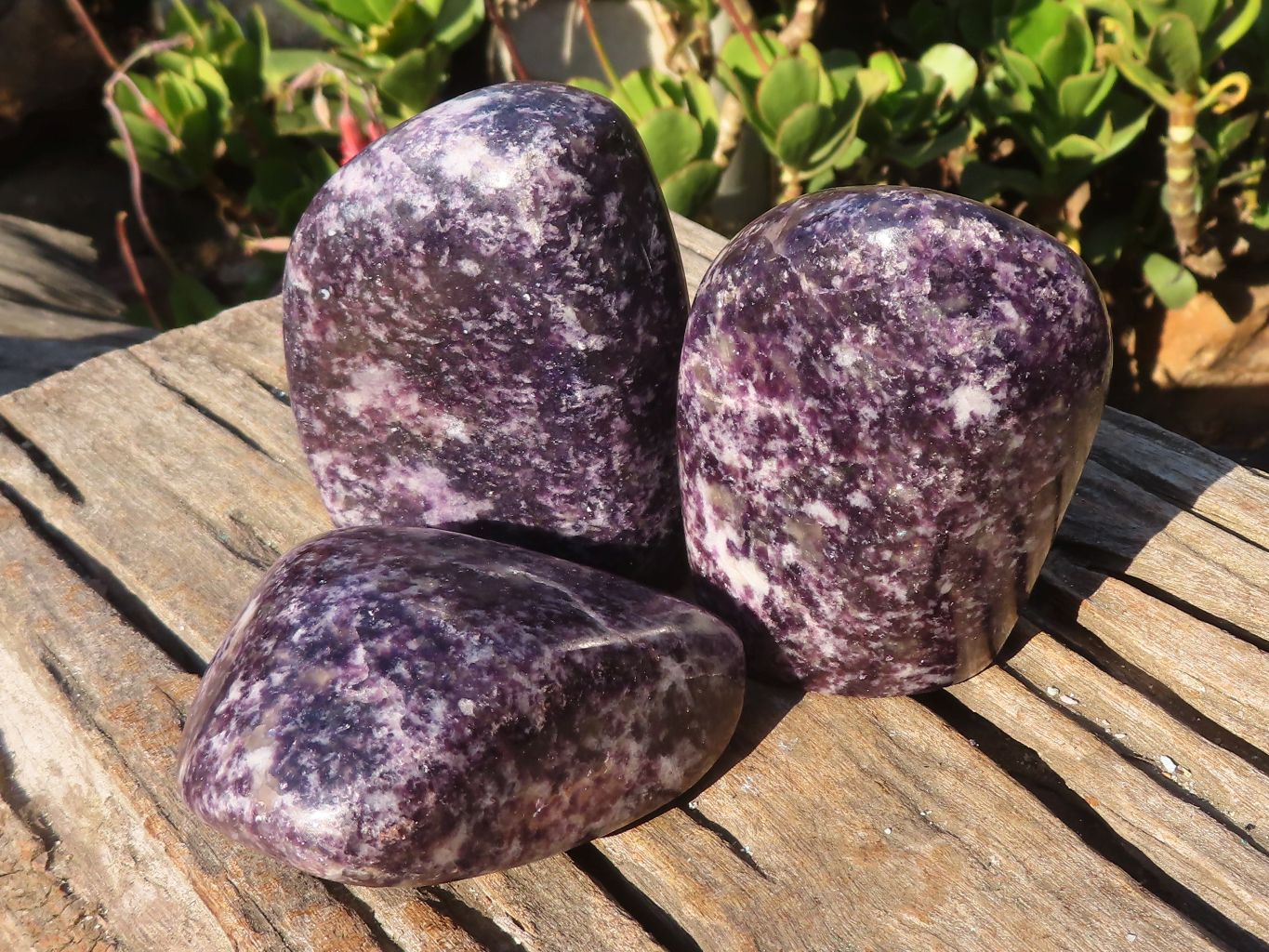 Polished Lepidolite Standing Free Forms (2) & Free Form (1) x 3 From Zimbabwe - Toprock Gemstones and Minerals 