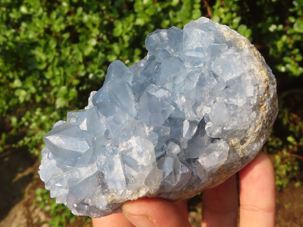 Natural Blue Celestite Crystal Specimens  x 3 From Sakoany, Madagascar - Toprock Gemstones and Minerals 