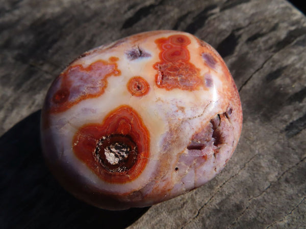 Polished Carnelian Gallets With Natural Vugs & Crystalline Features x 20 From Madagascar - TopRock