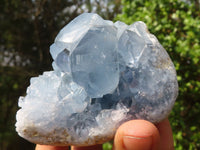 Natural Blue Celestite Crystal Specimens  x 3 From Sakoany, Madagascar - Toprock Gemstones and Minerals 