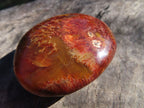 Polished Carnelian Gallets With Natural Vugs & Crystalline Features x 20 From Madagascar - TopRock