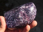 Polished Lepidolite Standing Free Forms (2) & Free Form (1) x 3 From Zimbabwe - Toprock Gemstones and Minerals 