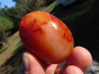 Polished Carnelian Gallets With Natural Vugs & Crystalline Features x 20 From Madagascar - TopRock
