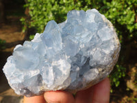 Natural Blue Celestite Crystal Specimens  x 3 From Sakoany, Madagascar - Toprock Gemstones and Minerals 