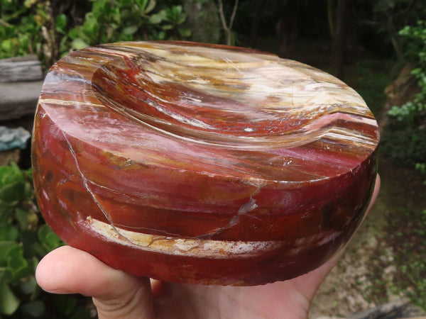 Polished Petrified Red Podocarpus Wood Dish  x 1 From Madagascar