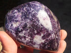 Polished Lepidolite Standing Free Forms (2) & Free Form (1) x 3 From Zimbabwe - Toprock Gemstones and Minerals 