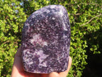 Polished Lepidolite Standing Free Forms (2) & Free Form (1) x 3 From Zimbabwe - Toprock Gemstones and Minerals 