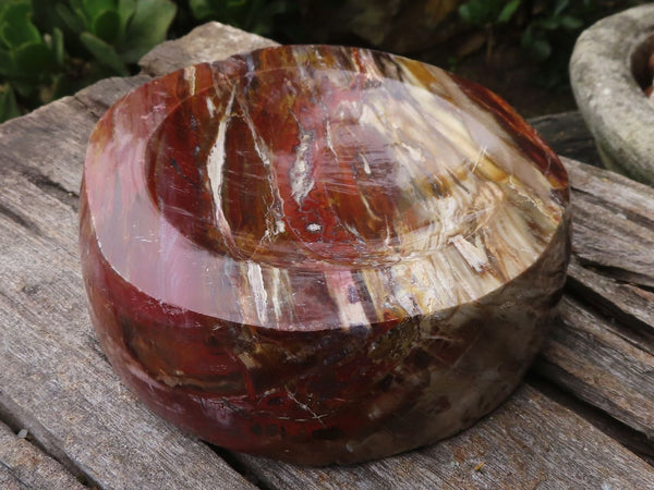Polished Petrified Red Podocarpus Wood Dish  x 1 From Madagascar - TopRock