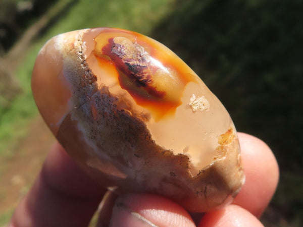 Polished Coral Flower Agate Palm Stones x 20 From Antsahalova, Madagascar - TopRock