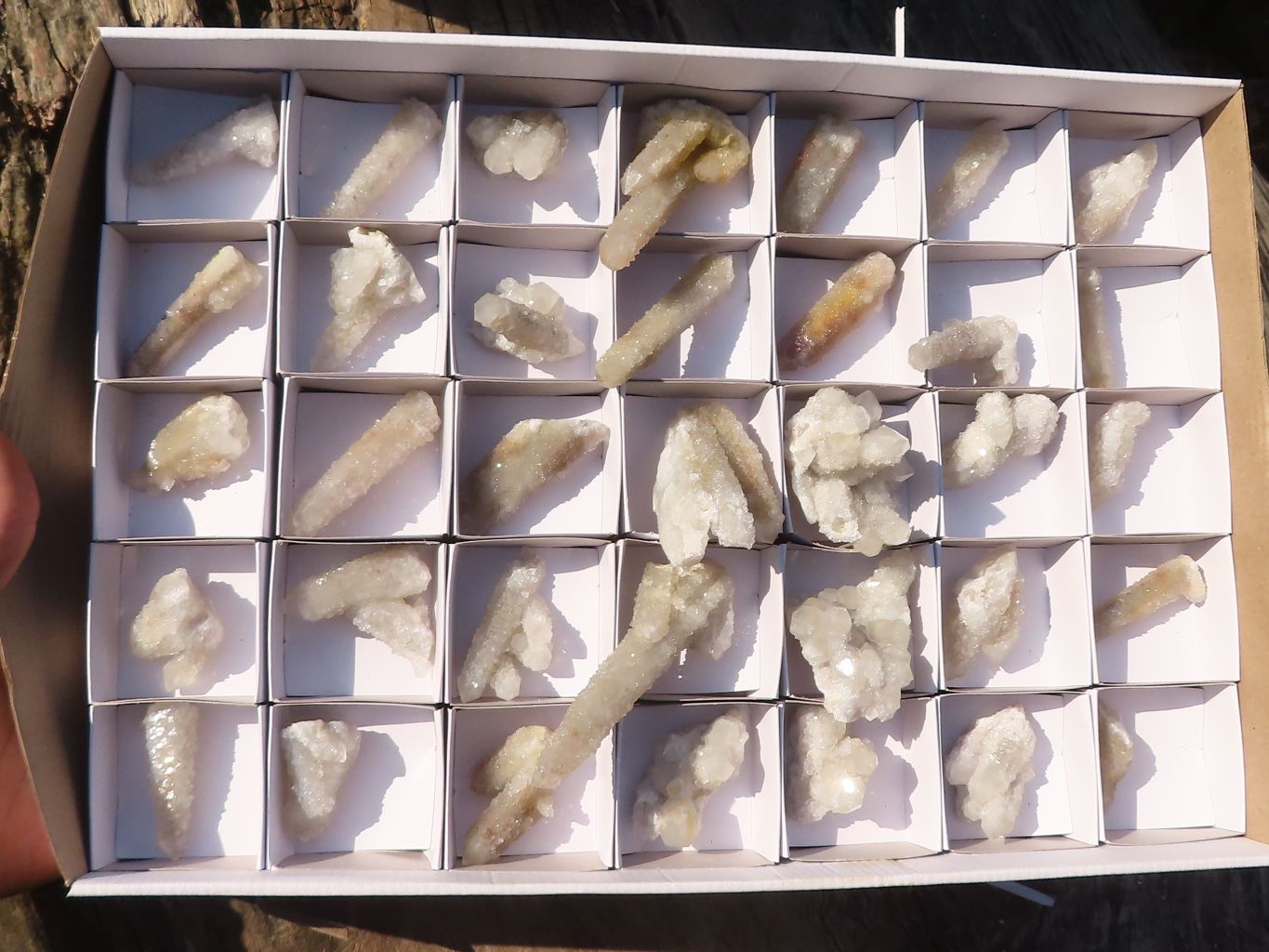 Natural Long Fingered White Spirit Quartz Crystals x 35 From Boekenhouthoek, South Africa - Toprock Gemstones and Minerals 