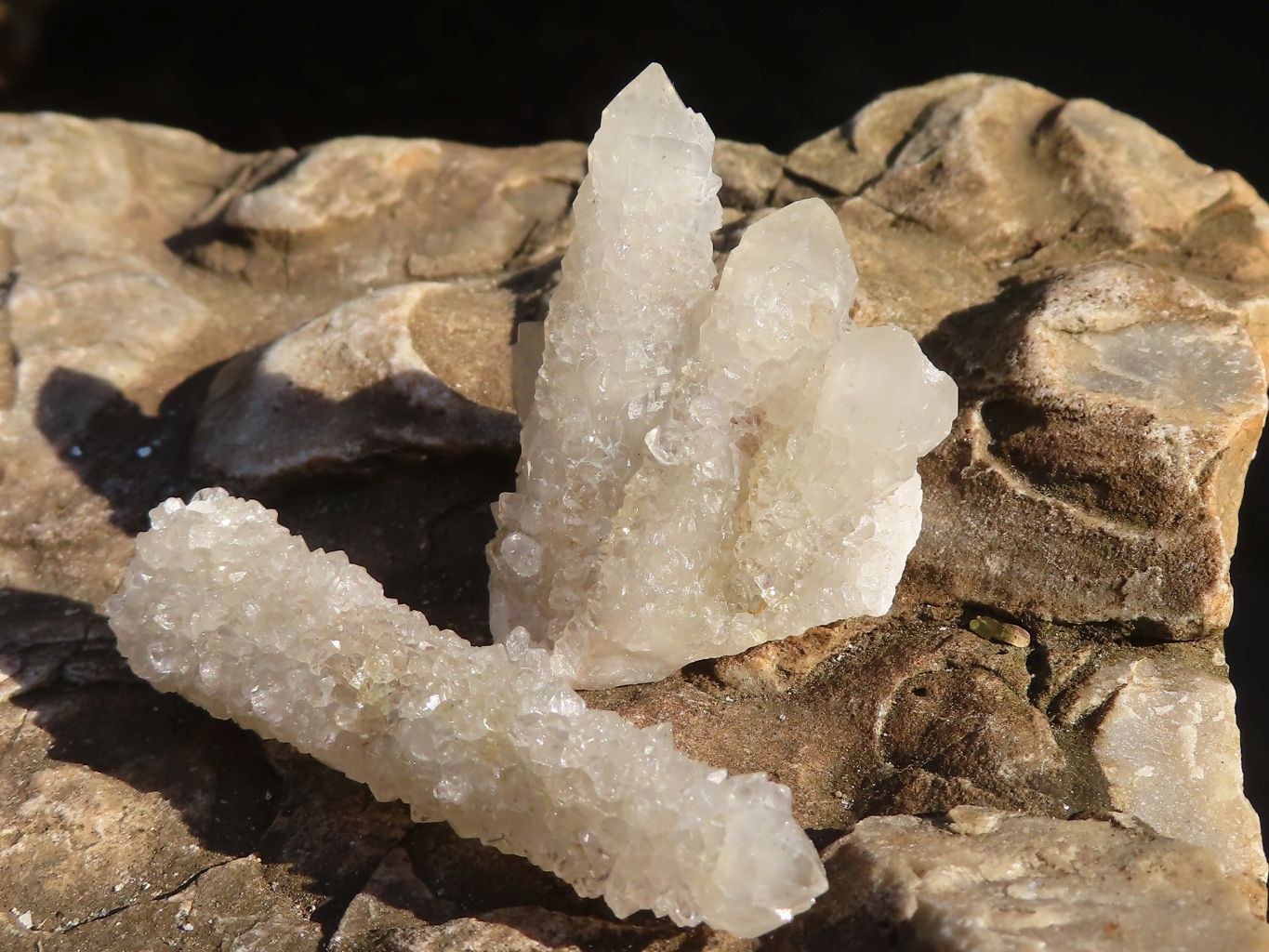 Natural Long Fingered White Spirit Quartz Crystals x 35 From Boekenhouthoek, South Africa - Toprock Gemstones and Minerals 