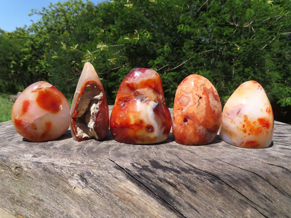 Polished Carnelian Standing Free Forms x 5 From Madagascar - TopRock