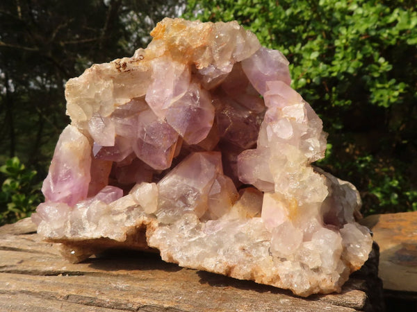 Natural Jacaranda Amethyst Vug Specimen  x 1 From Mumbwa, Zambia - Toprock Gemstones and Minerals 