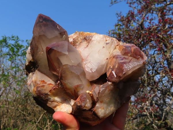 Natural Red Hematite Phantom Quartz Cluster x 1 From Karoi, Zimbabwe - TopRock