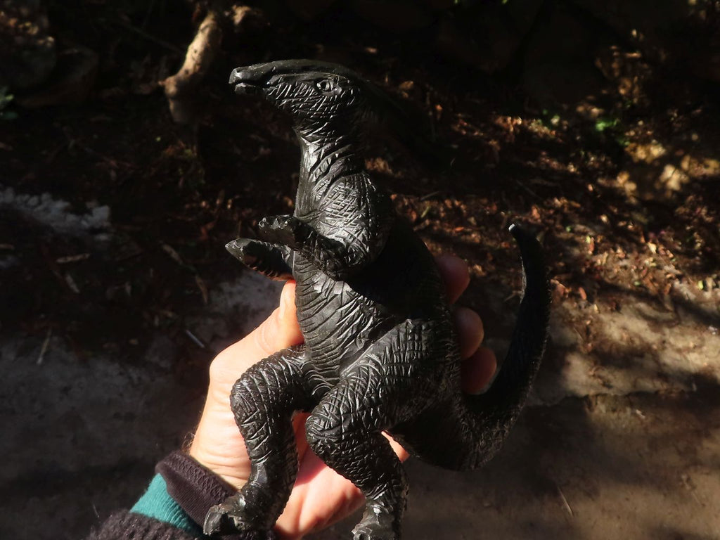 Polished Black Soapstone Dinosaur Carving x 1 From Zimbabwe - Toprock Gemstones and Minerals 