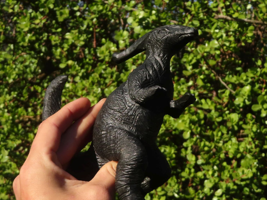 Polished Black Soapstone Dinosaur Carving x 1 From Zimbabwe - Toprock Gemstones and Minerals 