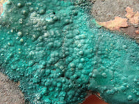 Natural Micro Botryoidal Crystalline Malachite Specimens  x 12 From Tenke Fungurume, Congo - TopRock