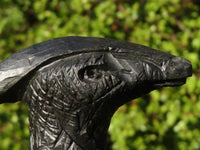 Polished Black Soapstone Dinosaur Carving x 1 From Zimbabwe - Toprock Gemstones and Minerals 