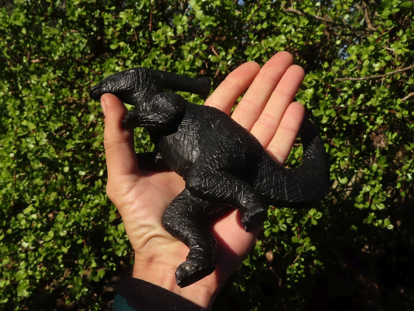 Polished Black Soapstone Dinosaur Carving x 1 From Zimbabwe - Toprock Gemstones and Minerals 