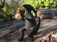 Polished Black Soapstone Dinosaur Carving x 1 From Zimbabwe - Toprock Gemstones and Minerals 