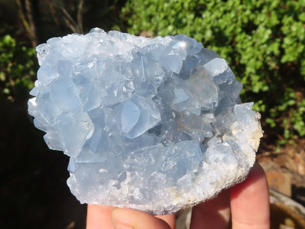 Natural Blue Celestite Crystal Specimens  x 6 From Madagascar