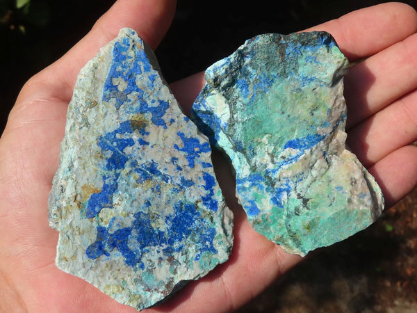 Natural Azurite & Malachite On Dolomite Specimens  x 12 From Kaokoveld, Namibia