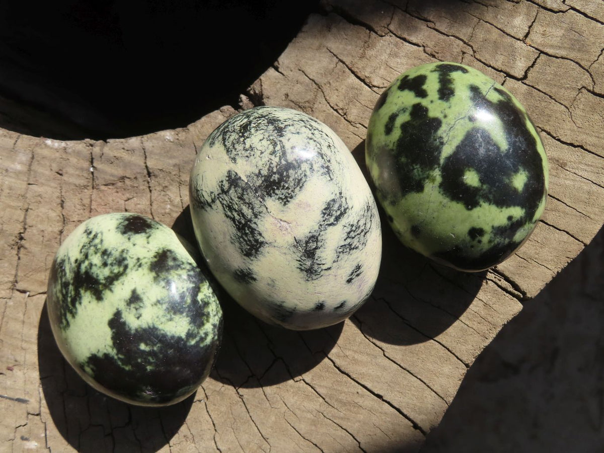Polished Leopardstone Galets x 12 From Inyanga, Zimbabwe - Toprock Gemstones and Minerals 