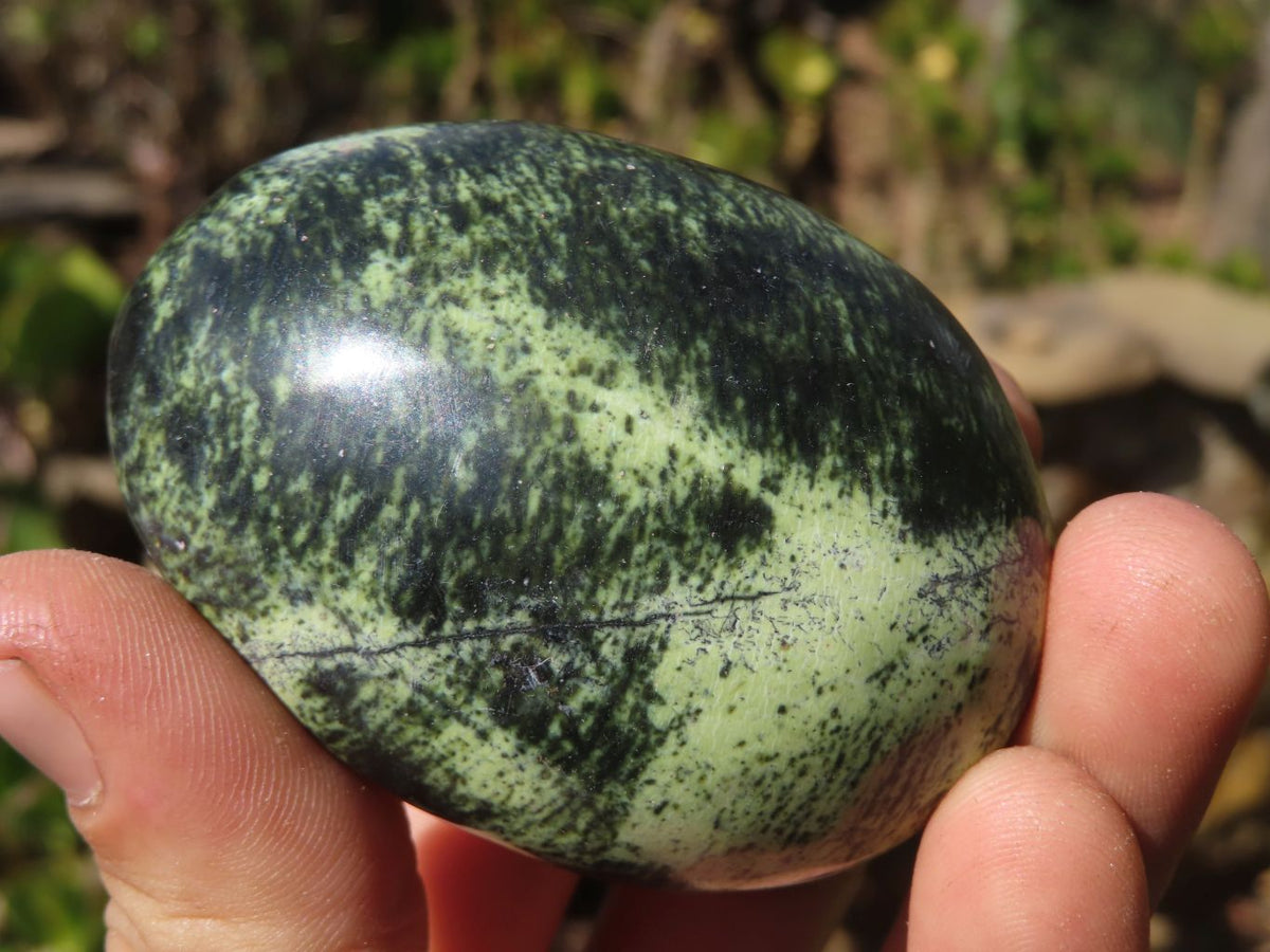Polished Leopardstone Galets x 12 From Inyanga, Zimbabwe - Toprock Gemstones and Minerals 