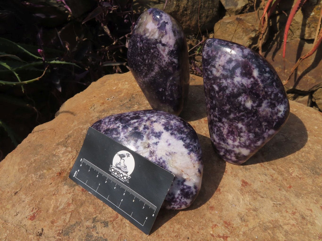 Polished Lepidolite Standing Free Forms x 3 From Zimbabwe - TopRock