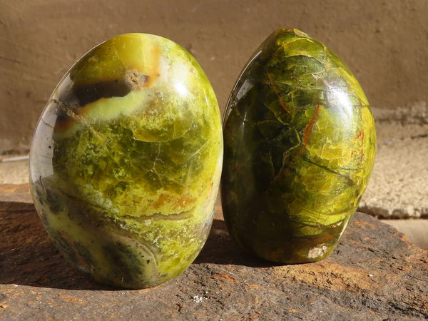 Polished Green Opal Standing Free Forms  x 6 From Madagascar - Toprock Gemstones and Minerals 