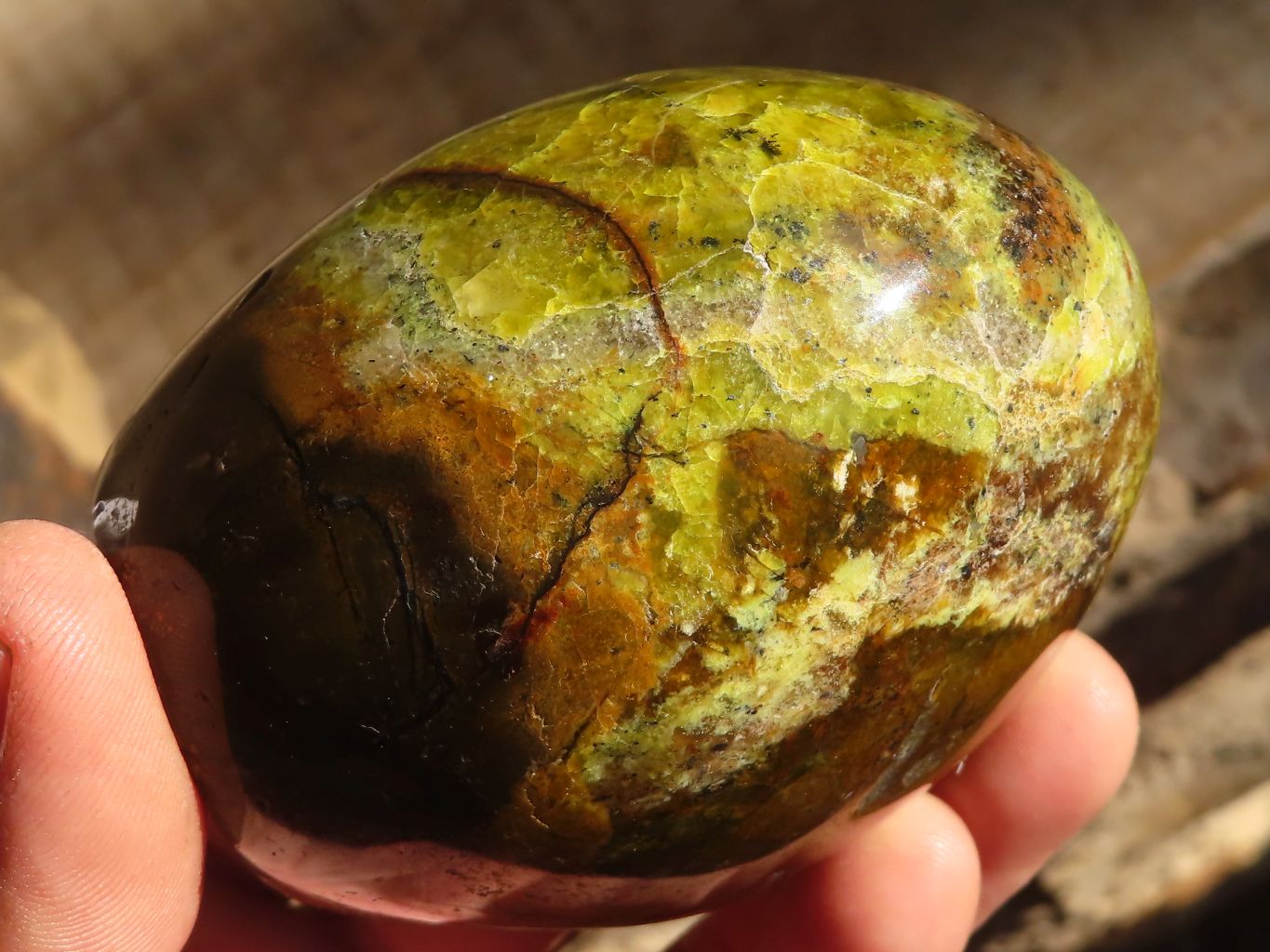 Polished Green Opal Standing Free Forms  x 6 From Madagascar - Toprock Gemstones and Minerals 