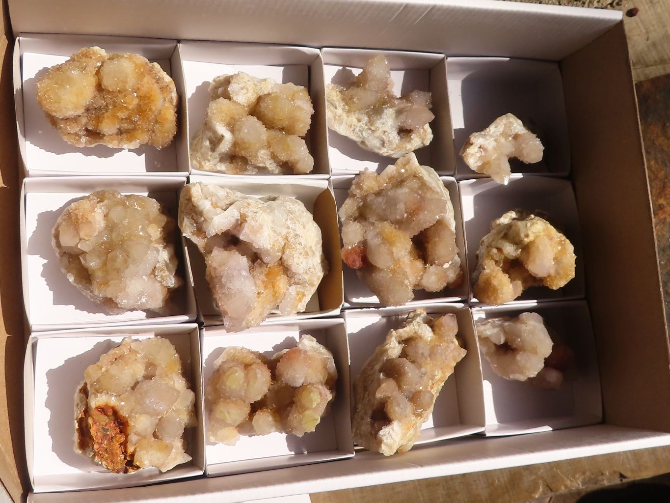 Natural Golden Limonite Spirit Quartz Clusters x 12 From Boekenhouthoek, South Africa - Toprock Gemstones and Minerals 