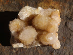 Natural Golden Limonite Spirit Quartz Clusters x 12 From Boekenhouthoek, South Africa - Toprock Gemstones and Minerals 