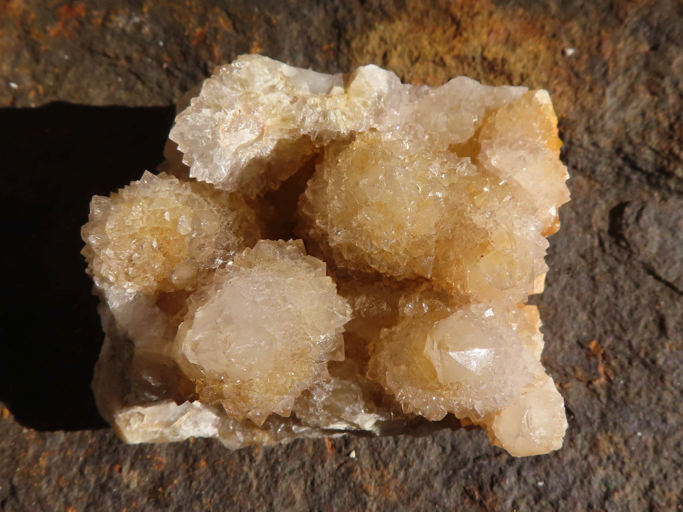 Natural Golden Limonite Spirit Quartz Clusters x 12 From Boekenhouthoek, South Africa - Toprock Gemstones and Minerals 