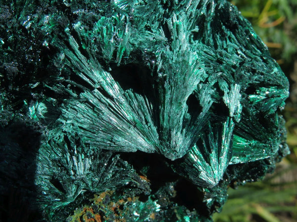 Natural Silky Malachite Specimens with Fan Formations x 2 From Kasompe, Congo - TopRock