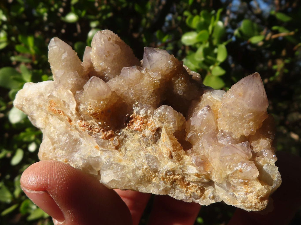 Natural Golden Limonite Spirit Quartz Clusters x 12 From Boekenhouthoek, South Africa - Toprock Gemstones and Minerals 