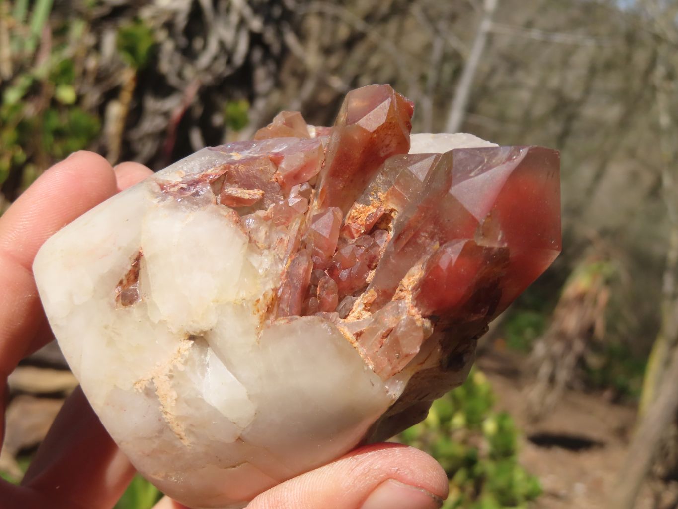 Natural Red Hematoid Quartz Specimens x 2 From Karoi, Zimbabwe - Toprock Gemstones and Minerals 