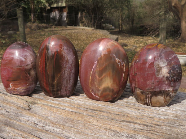 Polished Petrified Red Podocarpus Wood Standing Free Forms x 4 From Mahajanga, Madagascar - TopRock