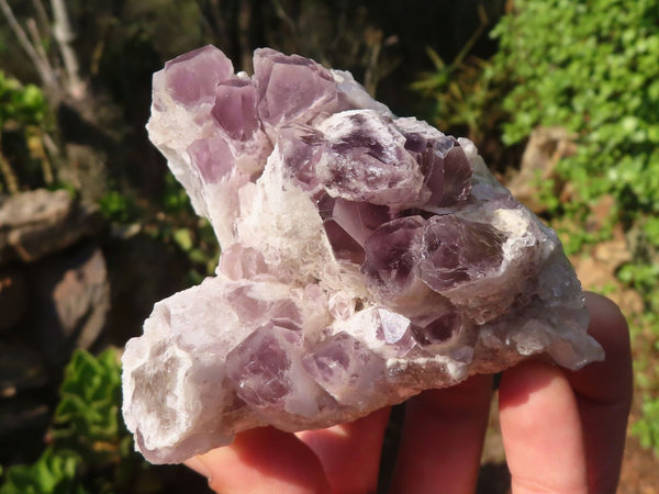 Natural Sugar Amethyst Clusters  x 4 From Solwezi, Zambia