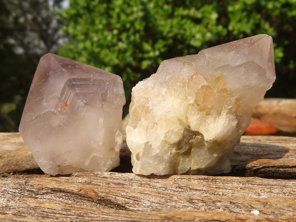 Natural Small Mixed Spirit Quartz Specimens  x 35 From Boekenhouthoek, South Africa - Toprock Gemstones and Minerals 
