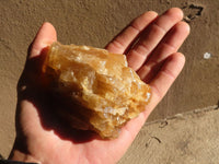 Natural Honey Aragonite Etched & Cobbed Pieces  x 6 From Namibia - Toprock Gemstones and Minerals 