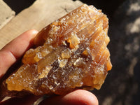Natural Honey Aragonite Etched & Cobbed Pieces  x 6 From Namibia - Toprock Gemstones and Minerals 